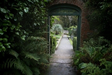 BarryTheSecretGarden1