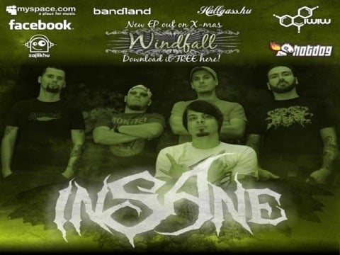 grupa insane ungarija