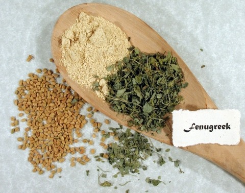 FENUGREEK 1