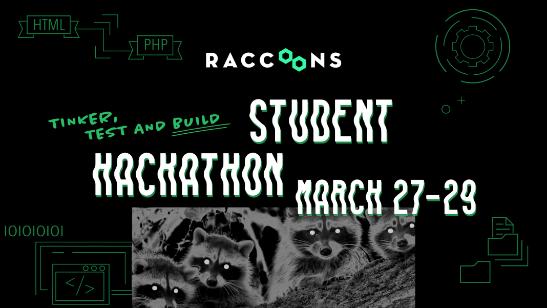 The Raccoons3
