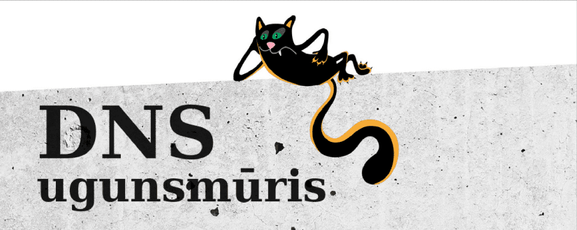 DNS ugunsmuris