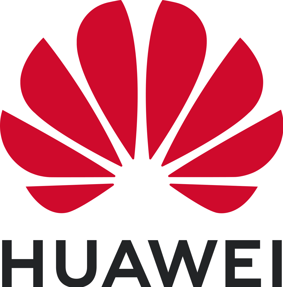 Huawei Standard logo